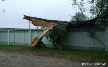 Фото из архива Медиа-Полесья