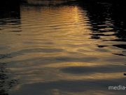 Фото иллюстрационное