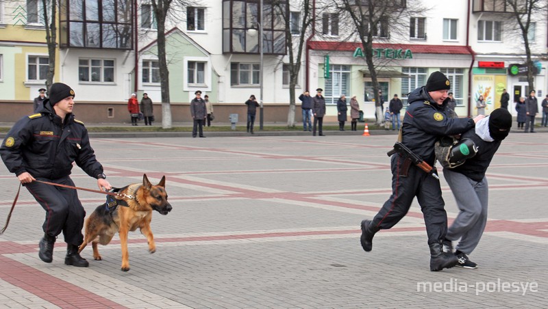 «Грабитель» задержан