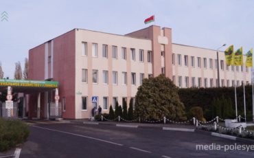 Фото использовано в качестве иллюстрации