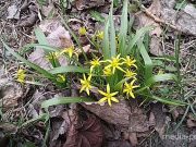 Фото Василия Мацкевича