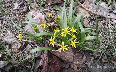 Фото Василия Мацкевича