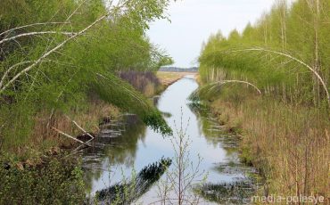 Фото иллюстрационное из архива Медиа-Полесья