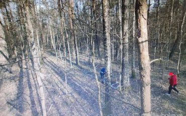 Фото предоставлено Лунинецким лесхозом