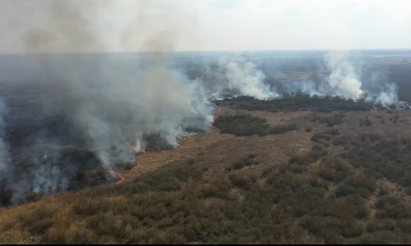 Скриншот из видео