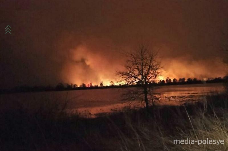 Фотография @oliarakovich