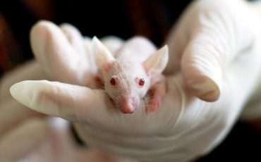 Фото: sciencepop.ru