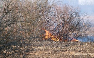 Снимок носит иллюстративный характер / Фото из архива Медиа-Полесья