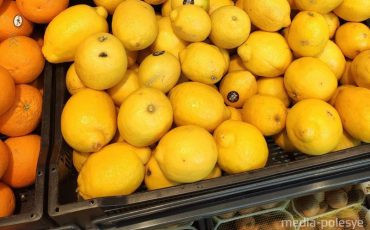 Фото из архива МП