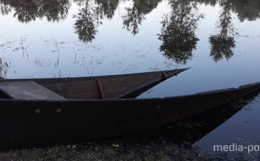 Снимок носит иллюстративный характер