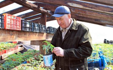 Фото из архива Медиа-Полесья