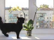 Фото: © Depositphotos