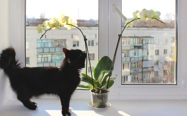 Фото: © Depositphotos