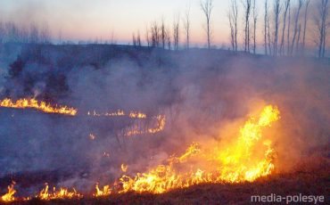 Фото иллюстрационное