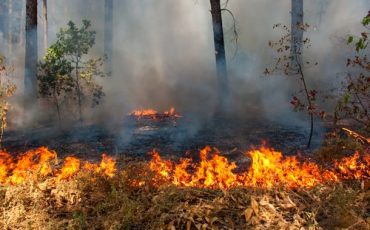 Фото: aviales.ru