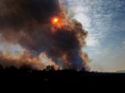 Фотографии из группы в соцсетях Пинского райисполкома