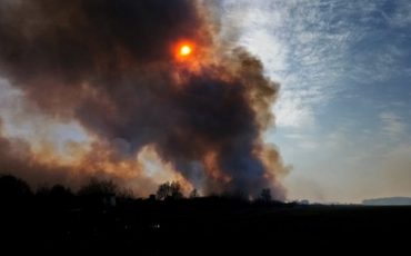 Фотографии из группы в соцсетях Пинского райисполкома