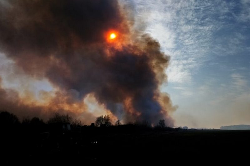 Фотографии из группы в соцсетях Пинского райисполкома