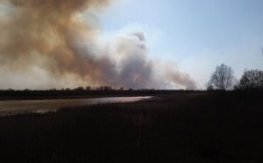 Фото использовано в качестве иллюстрации