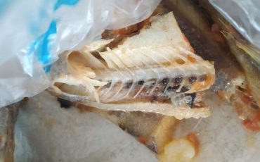 Фото предоставлено читательницей МП