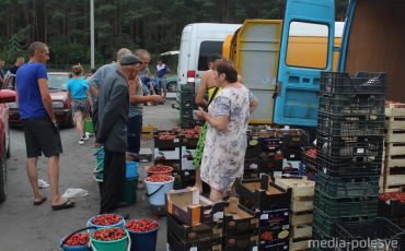 Клубничная «Комаровка в деревне Дворец Лунинецого района. Фото из архива МП, 2019 год