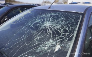 Снимок носит иллюстративный характер / Фото из архива Медиа-Полесья