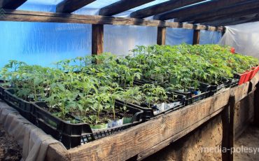 Снимок носит иллюстративный характер