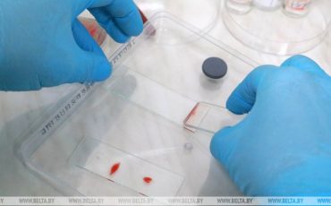 Фото иллюстрационное