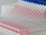 Снимок носит иллюстративный характер / Фото: medtechcluster.ru