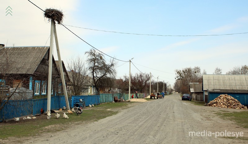 Деревня Толмачево Столинского района