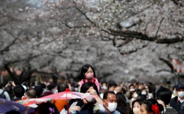 Фото иллюстрационнное