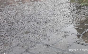 Снимок носит иллюстративный характер / Фото из архива Медиа-Полесья