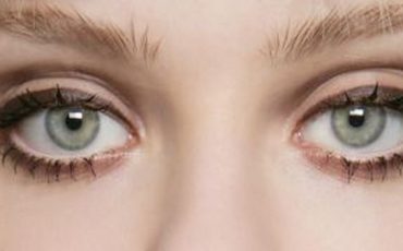 Снимок носит иллюстративный характер / Фото: © fotoimedia/imaxtree