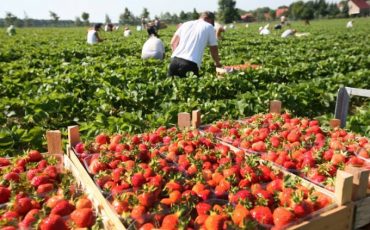 Фото: polsha24.com