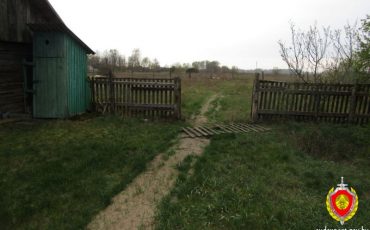 Фото использовано в качестве иллюстрации