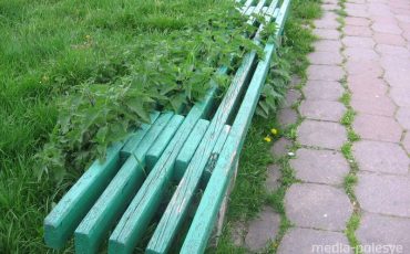 Автор фотографий Николай Верасень