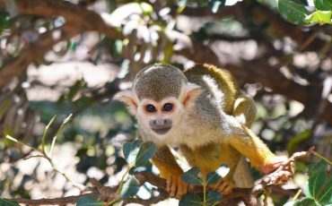 Снимок носит иллюстративный характер / Фото: pixabay.com