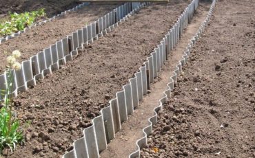 Снимок носит иллюстративный характер / Фото: dachniy-truzhenik.ru