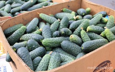 Фото из архива Медиа-Полесье