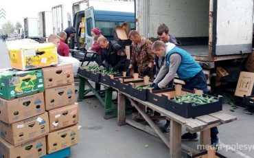 Фото использовано в качестве иллюстрации