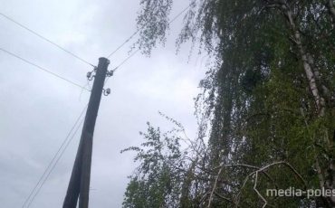 Снимок носит иллюстративный характер