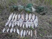 Снимок носит иллюстративный характер / Фото из архива Медиа-Полесья