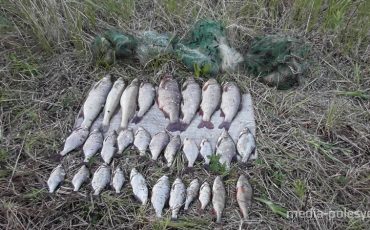 Снимок носит иллюстративный характер / Фото из архива Медиа-Полесья