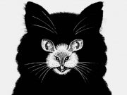 Фото: zen.yandex.ru