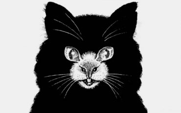 Фото: zen.yandex.ru