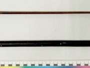 Фото предаставлено управлением Государственного комитета судебных экспертиз по Брестской области