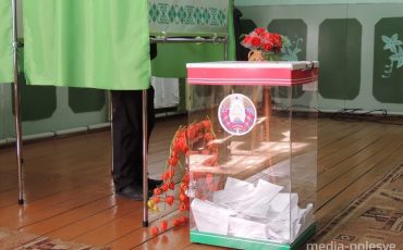 Снимок носит иллюстративный характер / Фото из архива Медиа-Полесья