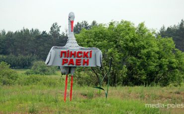 Таким аист был раньше