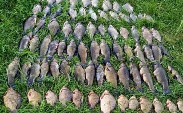 Фото с сайта gosinspekciya.gov.by