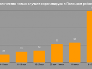 В инфографике приводятся только новые случаи за неделю, а не их общее количество. Информация из официальных источников. Фото: gorod214.by